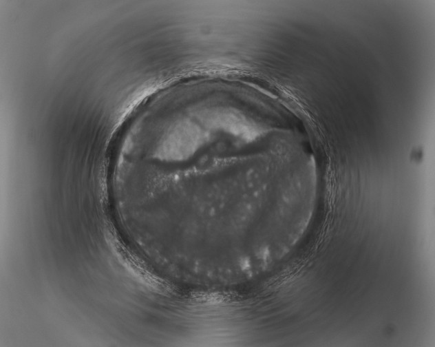 X0000116010679200912101342