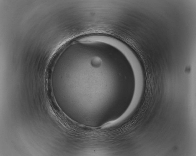 X0000116010680200912101342