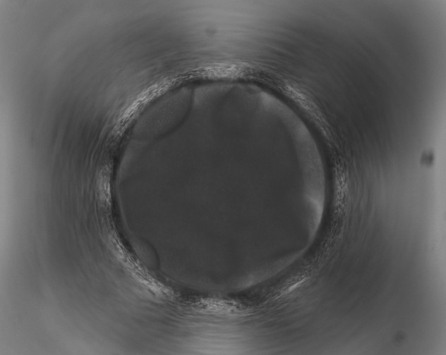 X0000116010681200912101342