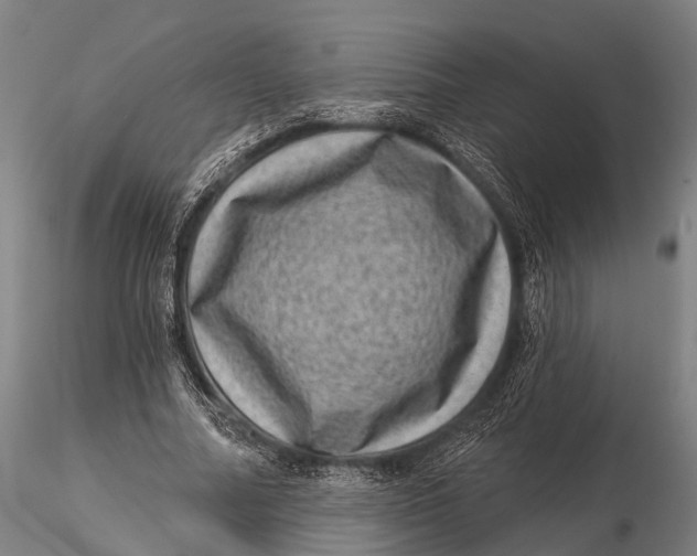 X0000116010682200912101342