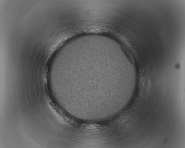 X0000116010683200912101342