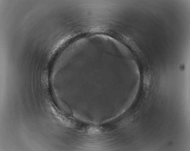 X0000116010684200912101342