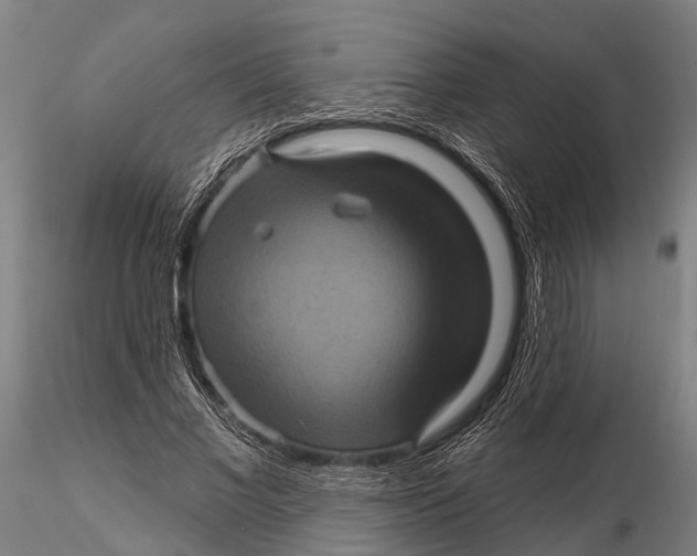 X0000116010685200912101342