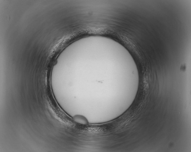 X0000116010686200912101342