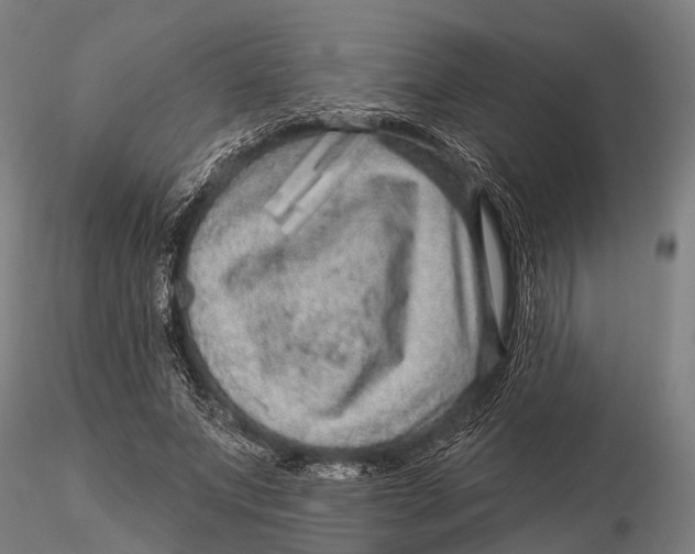 X0000116010687200912101342