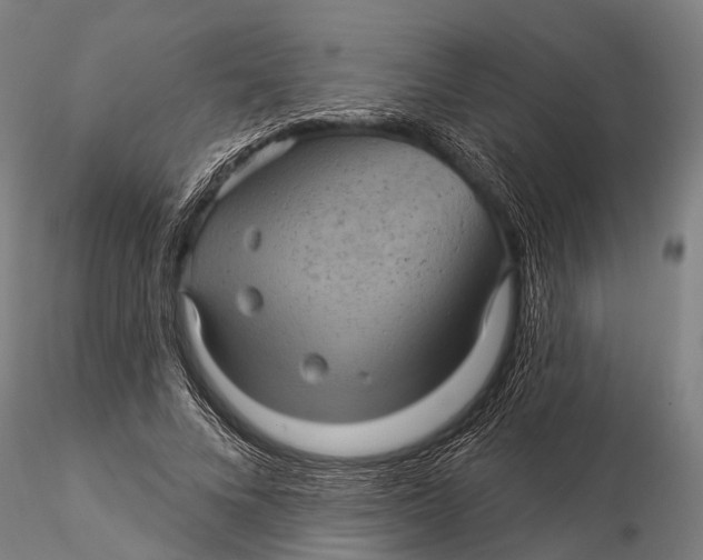 X0000116010688200912101342