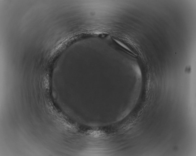 X0000116010689200912101342