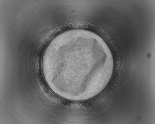 X0000116010690200912101342