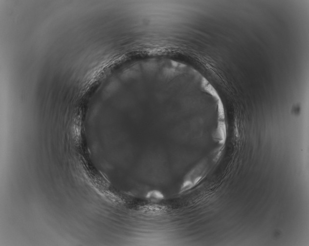 X0000116010691200912101342