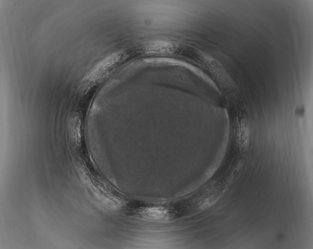 X0000116010692200912101342