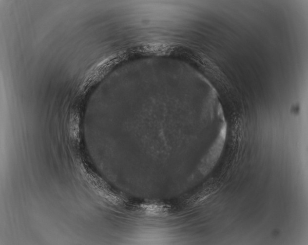 X0000116010693200912101342