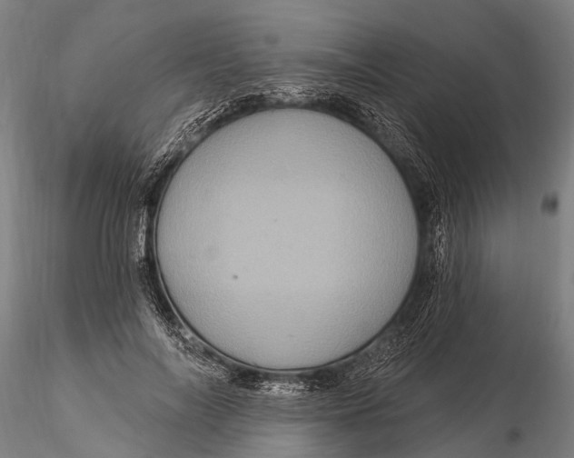 X0000116010694200912101342