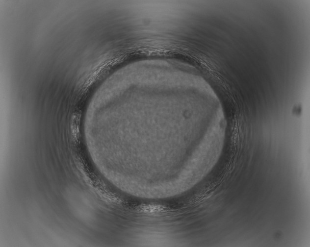 X0000116010695200912101342