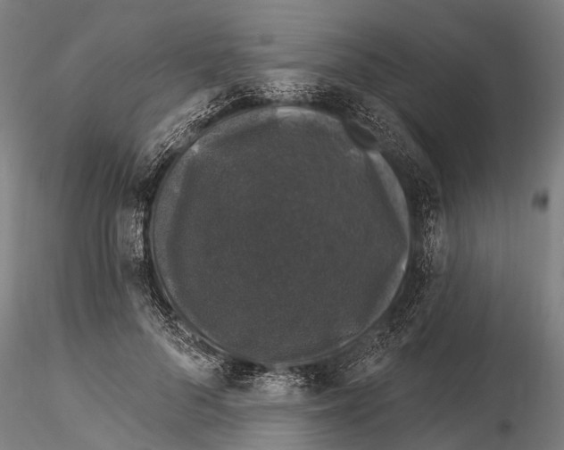 X0000116010696200912101342