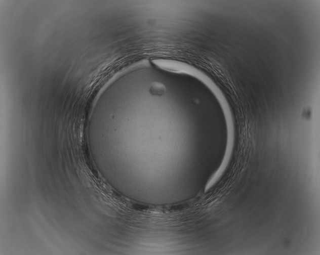 X0000116010697200912101342