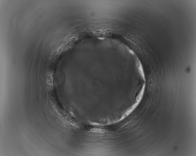 X0000116010699200912101342