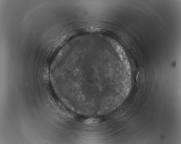 X0000116010700200912101342