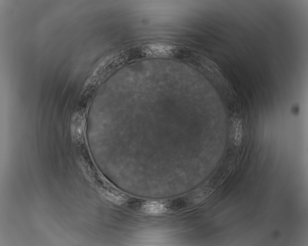 X0000116010701200912101342