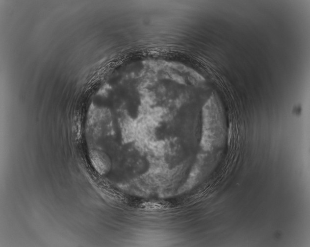 X0000116010703200912101342