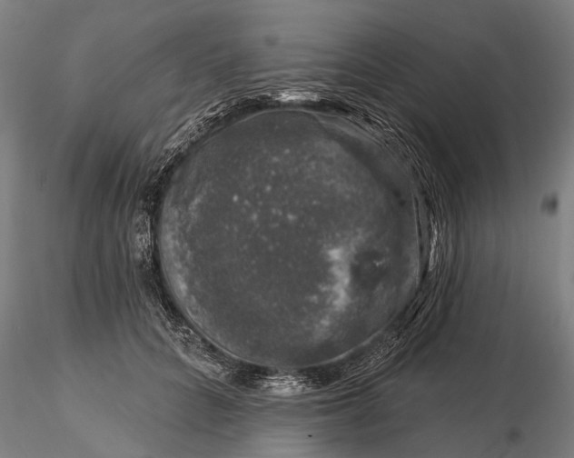 X0000116010704200912101341