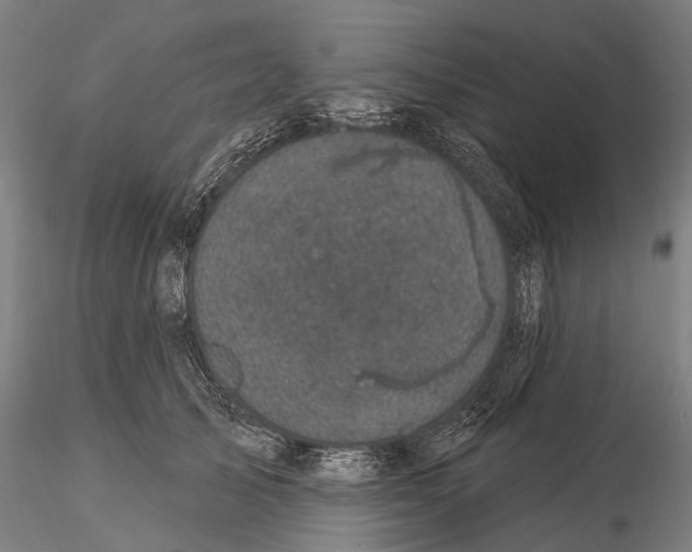 X0000116010705200912101341