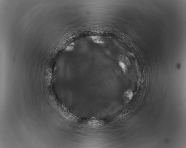 X0000116010707200912101341