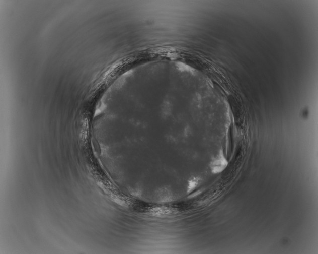 X0000116010708200912101341