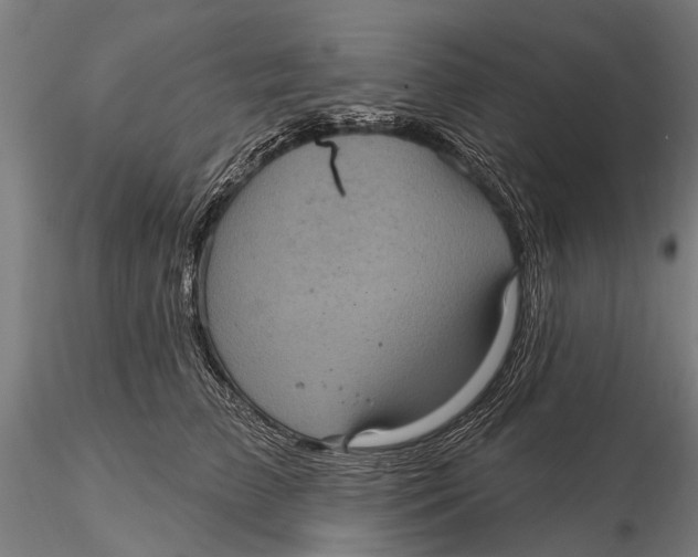 X0000116010709200912101341