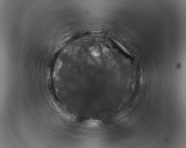 X0000116010711200912101341