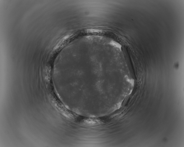 X0000116010712200912101341