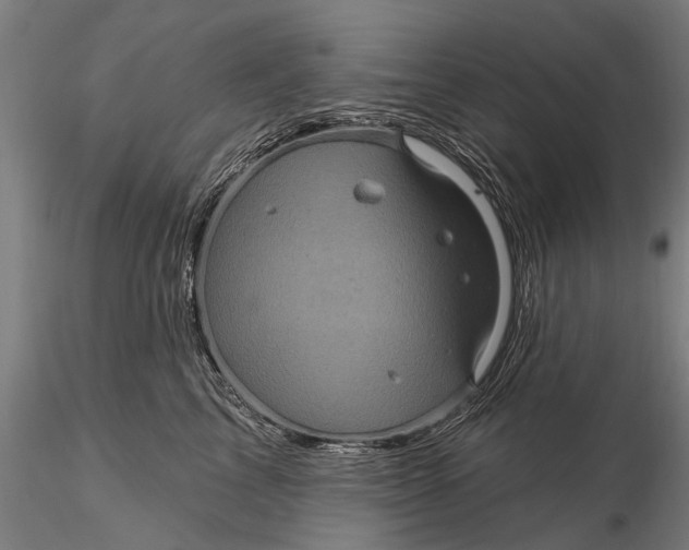 X0000116010713200912101341