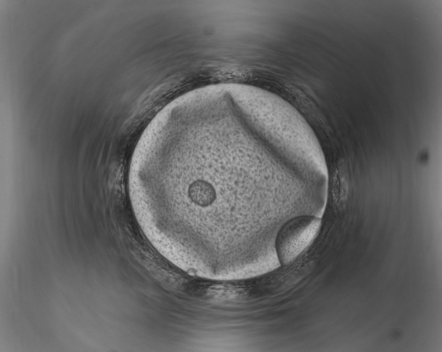 X0000116010714200912101341