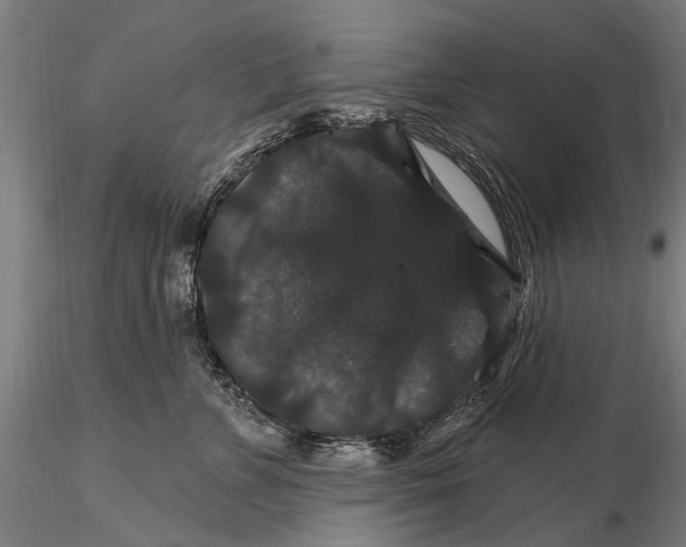 X0000116010715200912101341