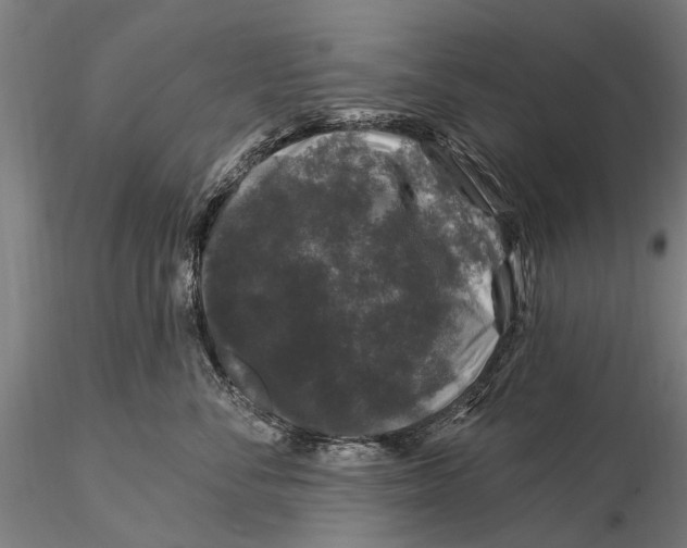 X0000116010716200912101341