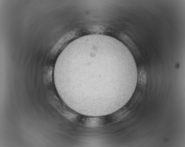 X0000116010717200912101341