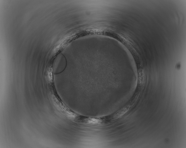 X0000116010718200912101341