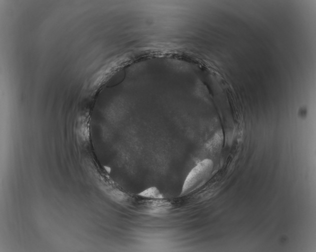 X0000116010719200912101341