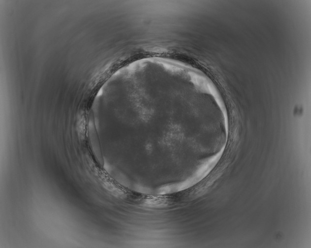 X0000116010720200912101341