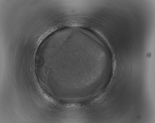 X0000116010721200912101341