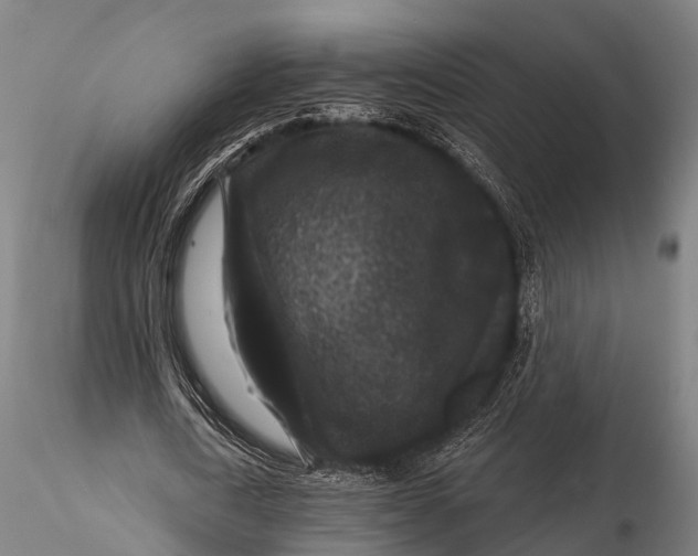 X0000116010722200912101341