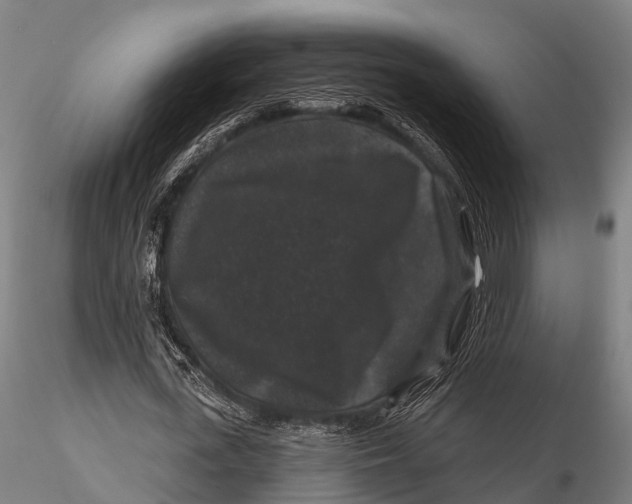 X0000116010723200912101341