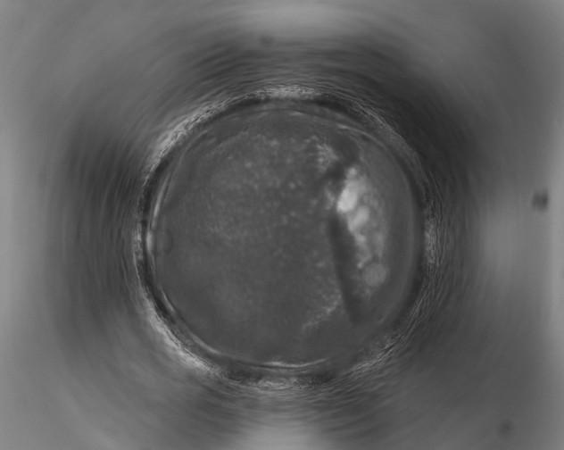 X0000116010725200912101341