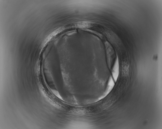 X0000116010726200912101341