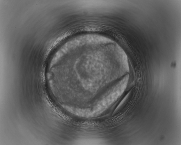 X0000116010727200912101341