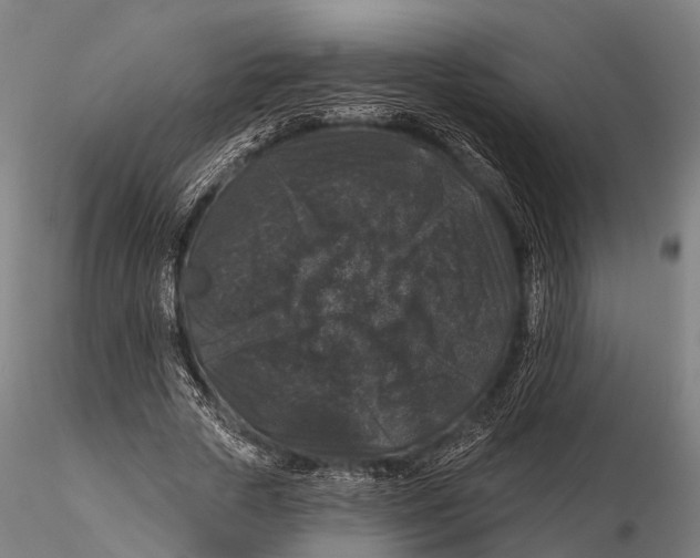 X0000116010729200912101341