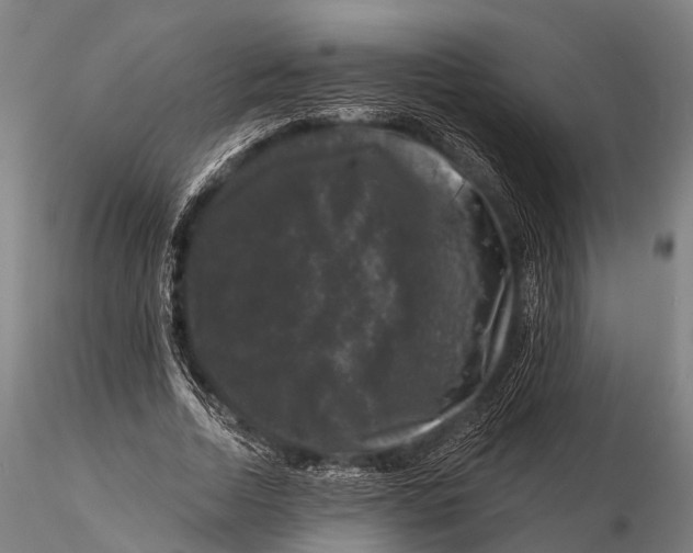 X0000116010730200912101341