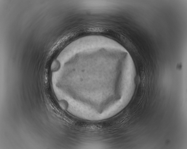 X0000116010731200912101341