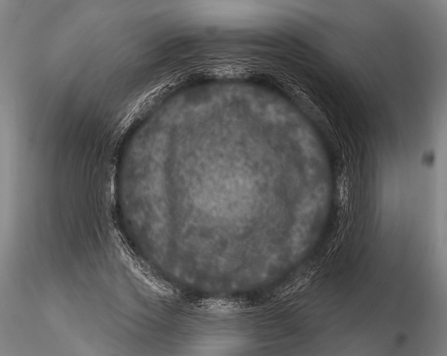 X0000116010733200912101341