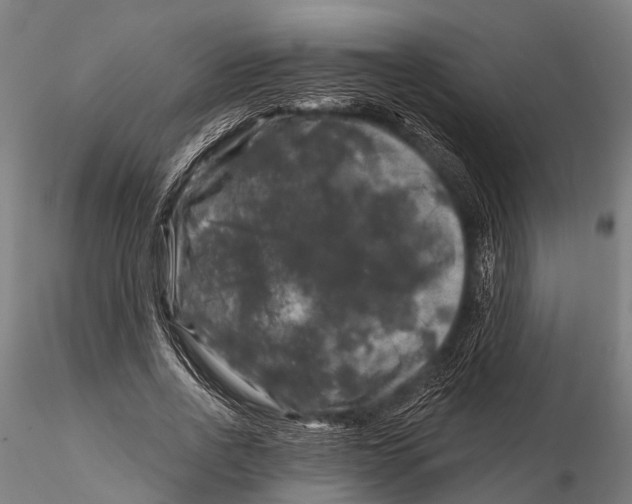 X0000116010734200912101341