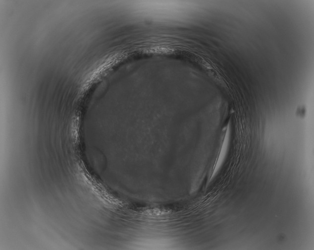 X0000116010735200912101341